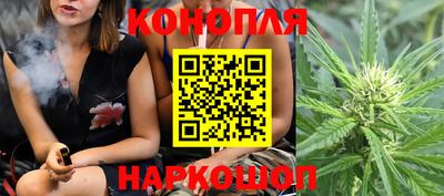 индика Абинск