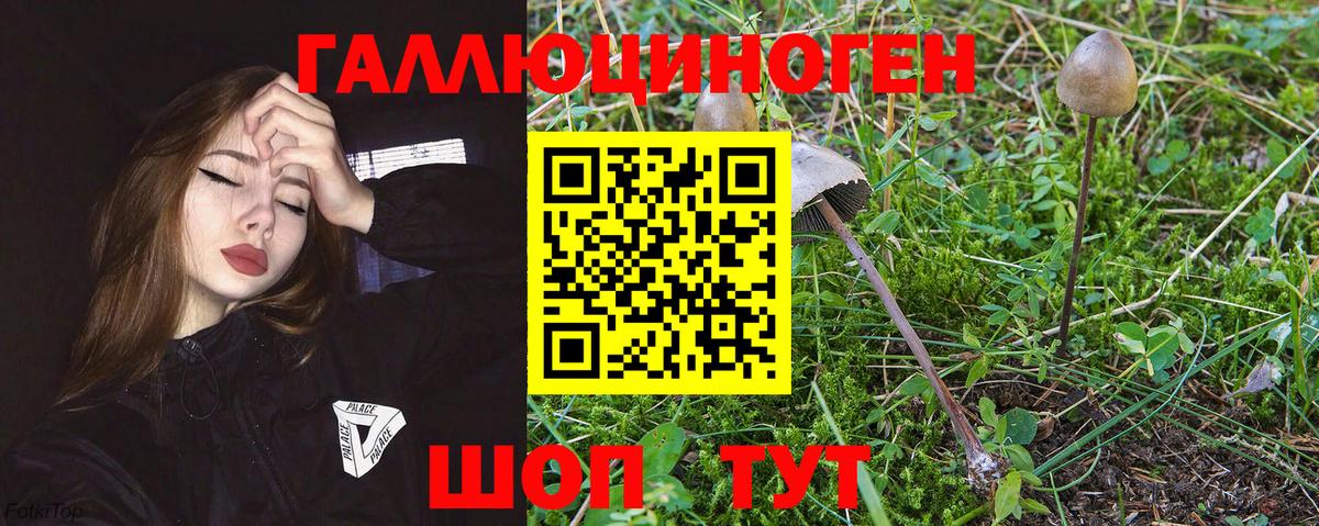 Псилоцибиновые грибы мухоморы Александров