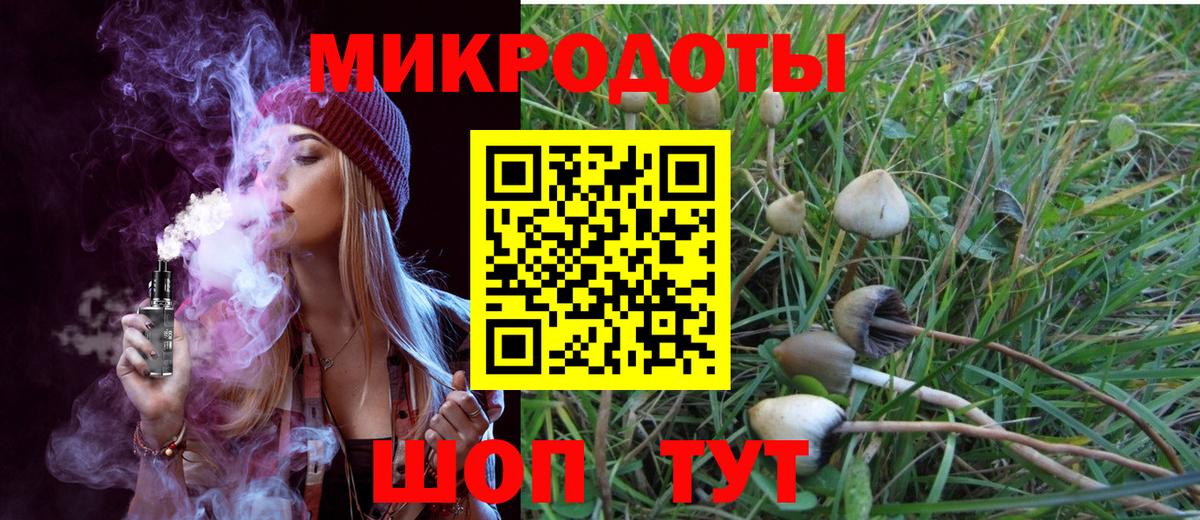 Александров  Псилоцибиновые грибы Psilocybine cubensis  наркотики  Вход с VPN 
